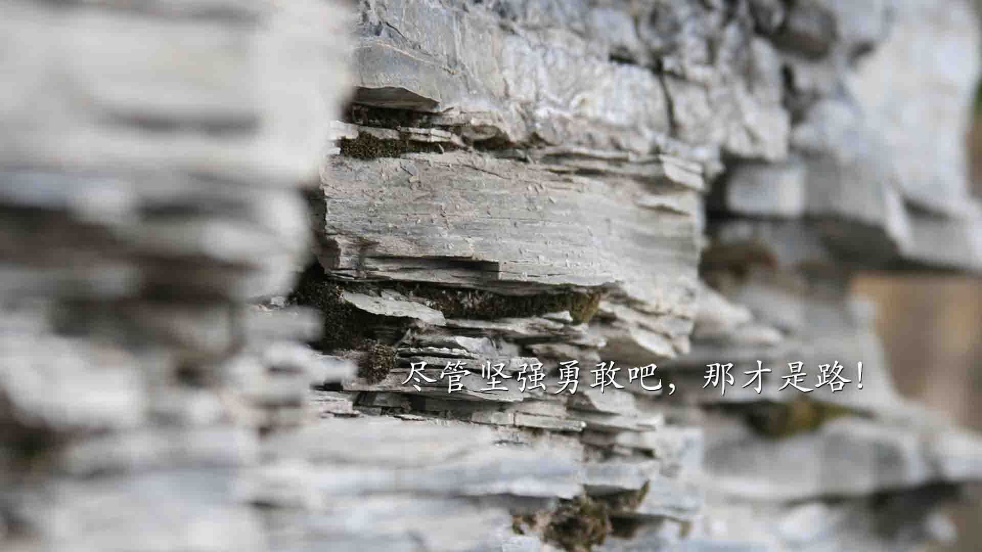 香槟队外线火力全开，横扫对手轻松取胜，香槟f1
