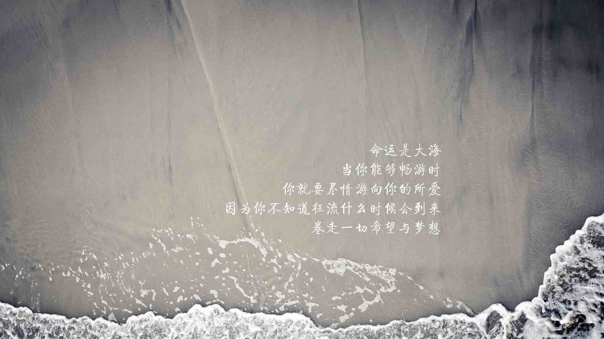 国足场上球员反应速度评分与角色分布关联，足球比赛中反应速度动作速度