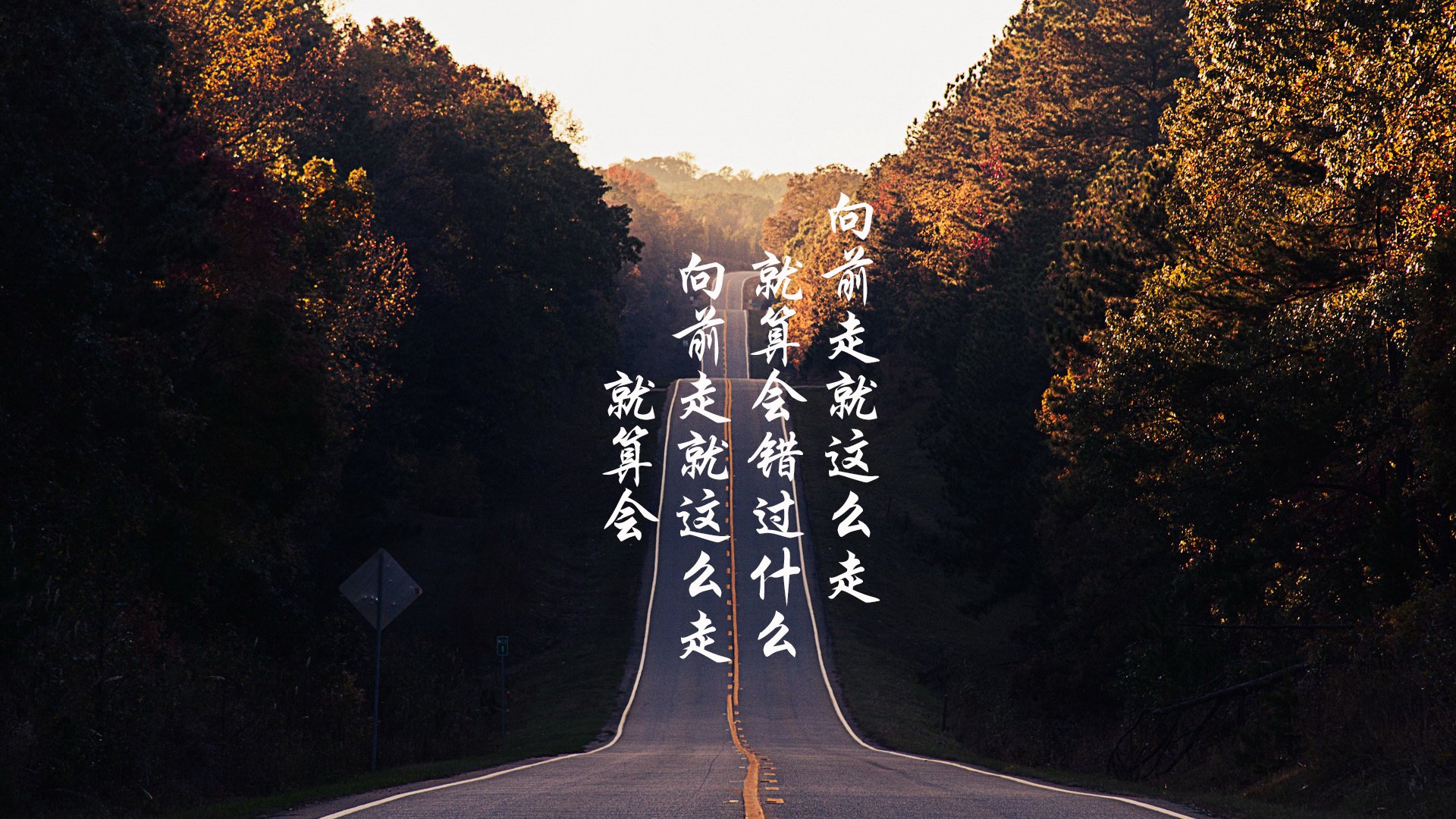 山西龙狮战术多样性逐渐成型提升比赛控制力，龙狮协会