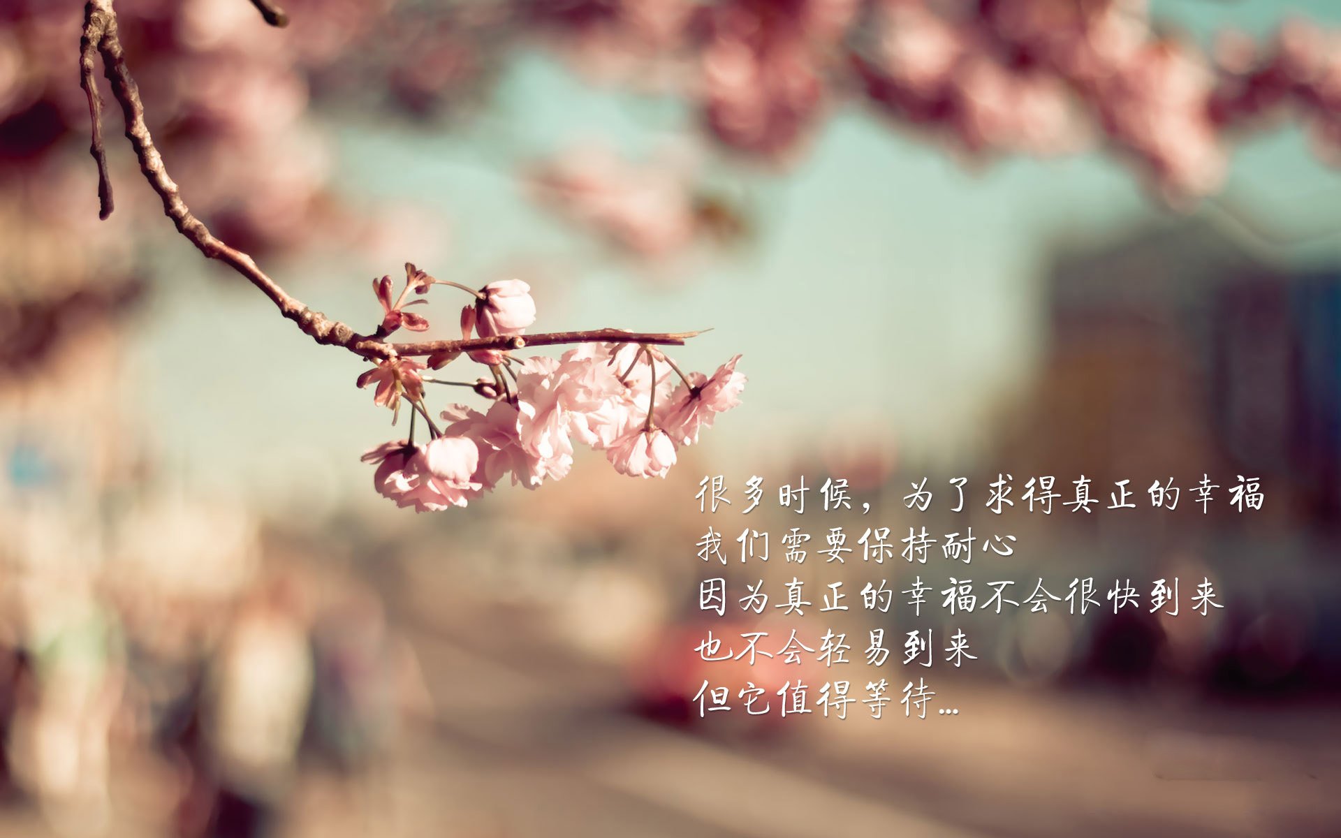 自由搏击裁判岗前训练模拟系统完成测试，自由搏击裁判口令讲解