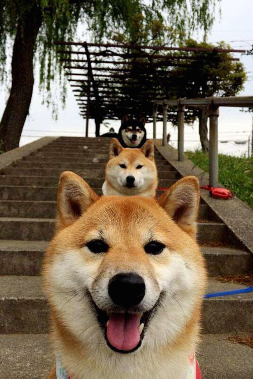 开云网页版-乌兰多冲线瞬间引全场沸腾，乌兰乌拉