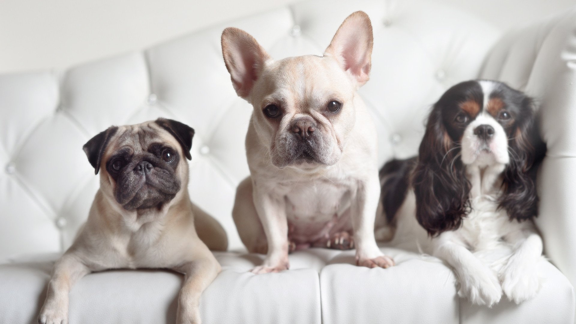 各国积极推动女子足球崛起，国际比赛频频亮相，女子国家足球队