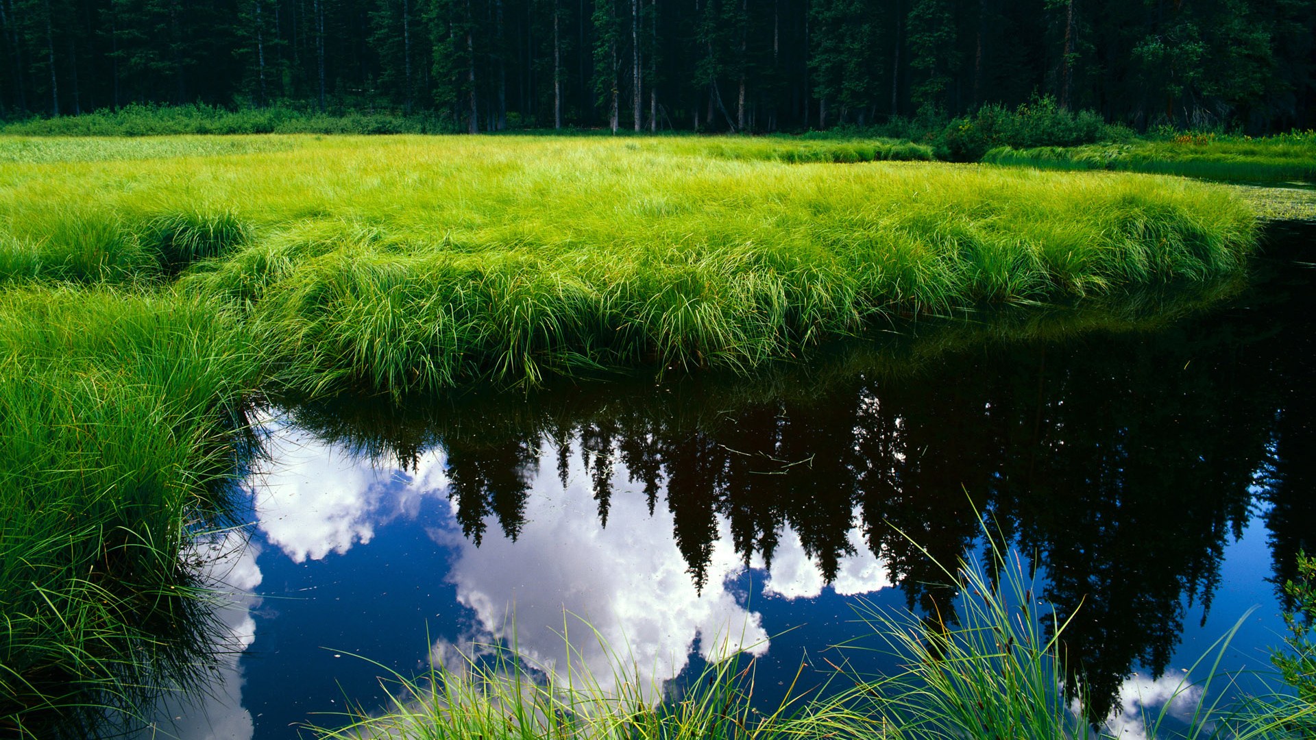 美洲杯明星再临:突破、精彩、惊喜!,美洲杯人气