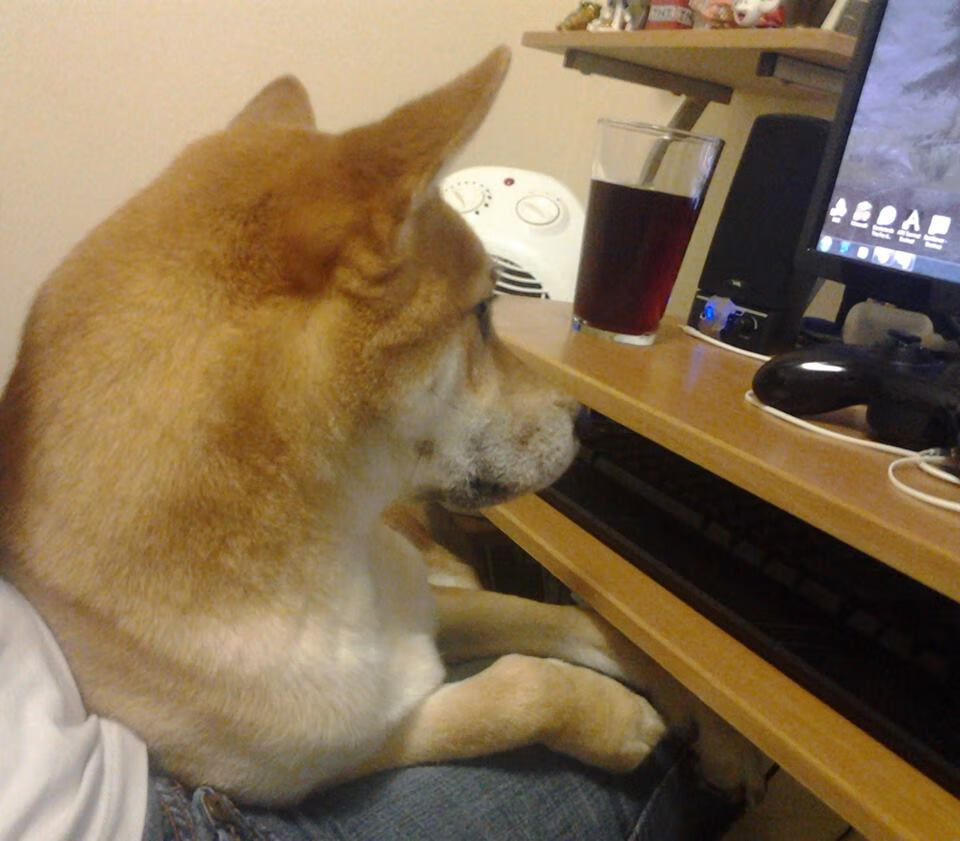 kaiyun.com-蝶泳年轻选手摩纳哥潜力无限，摩纳哥泳池