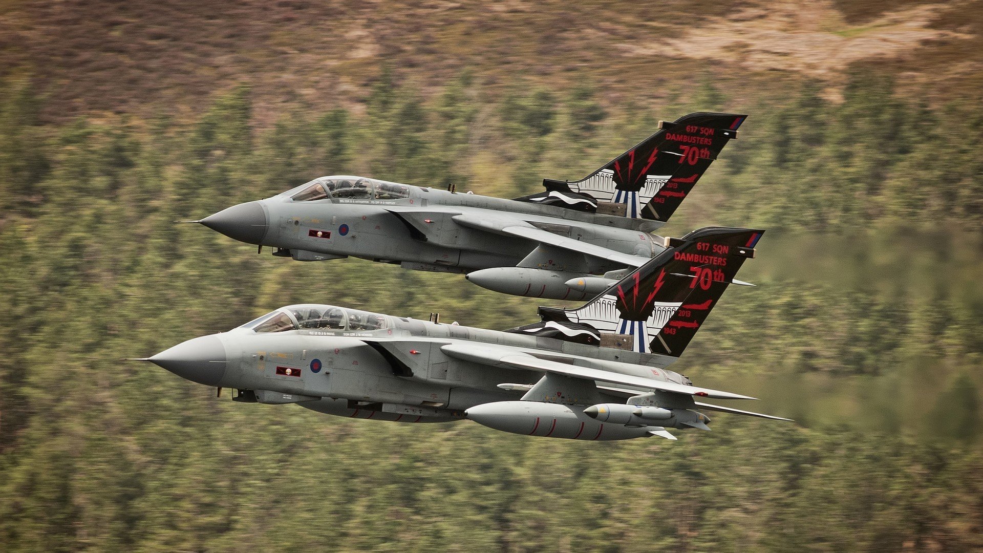 蝶泳年轻选手摩纳哥潜力无限,摩纳哥泳池