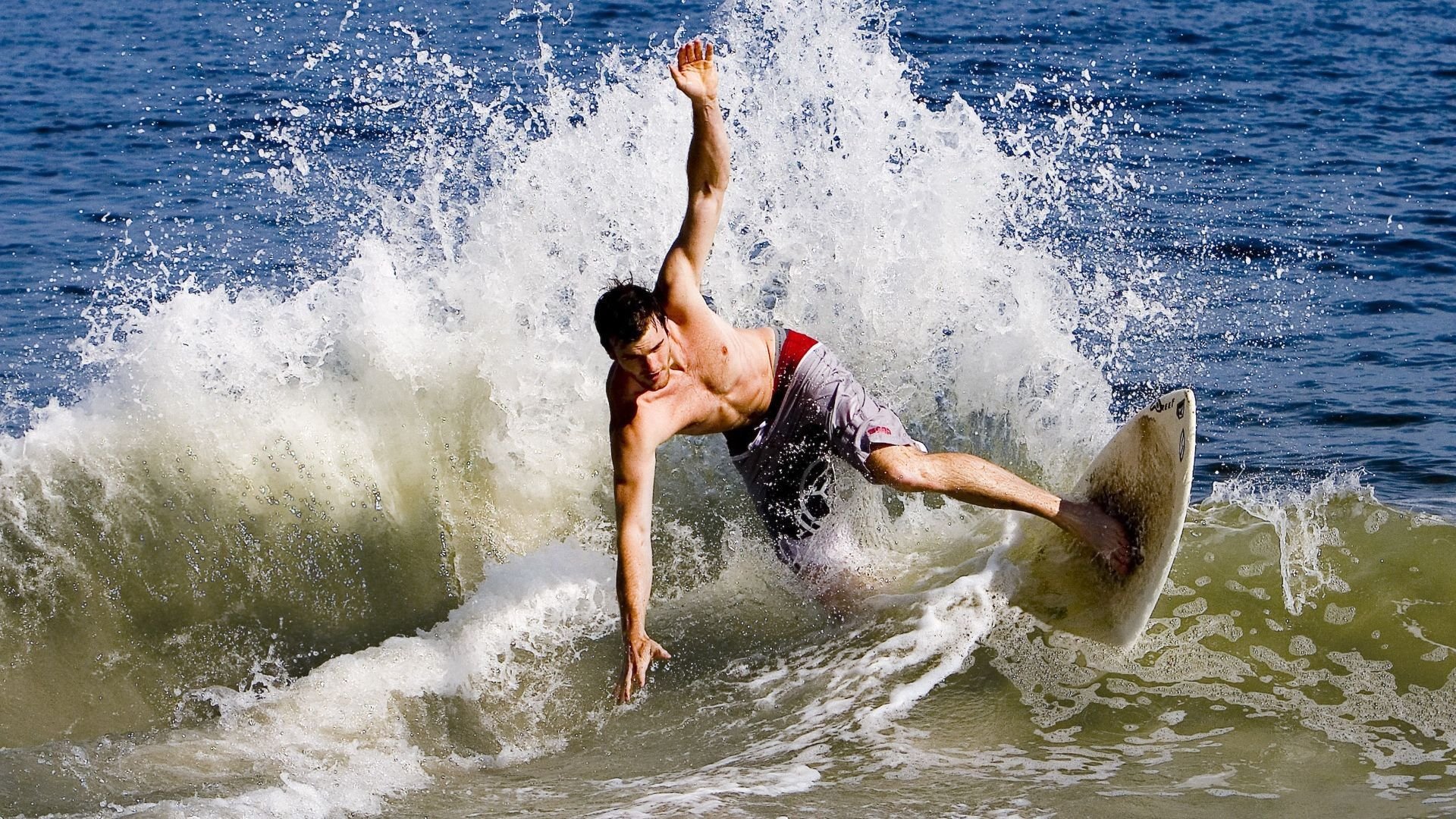 Kaiyun(中国)开云-_鹈鹕激情飙升，实力不断增强_，鹈鹕又名